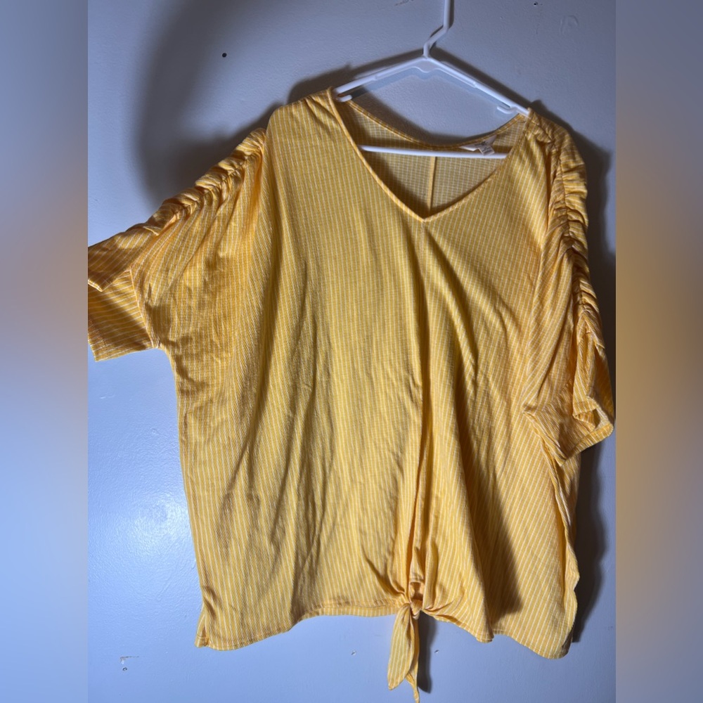 Adorable plus size top Sz 2X